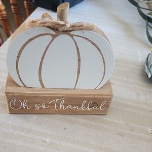 Rustic White and Brown Pumpkin Decor